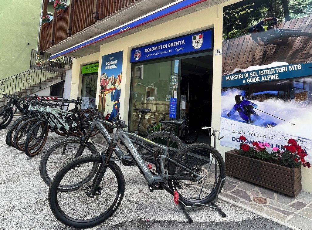 Andalo Bear Bike Noleggio